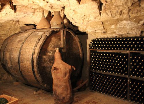 Visit to the 16th century winery+ tasting of 3 wines