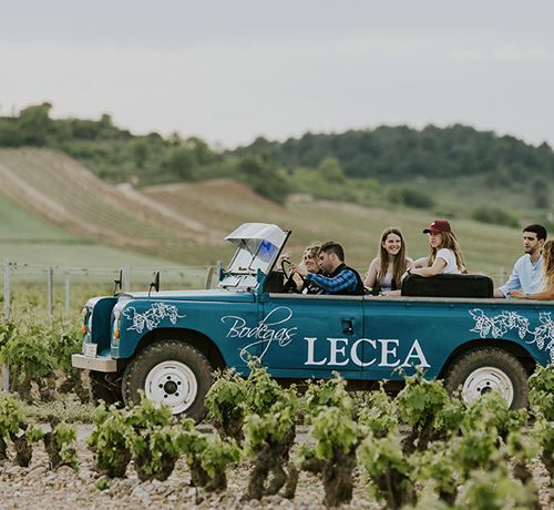 PASEO EN LAND ROVER DESCAPOTABLE 4X4 - FIESTA DEL PISADO DE LA UVA