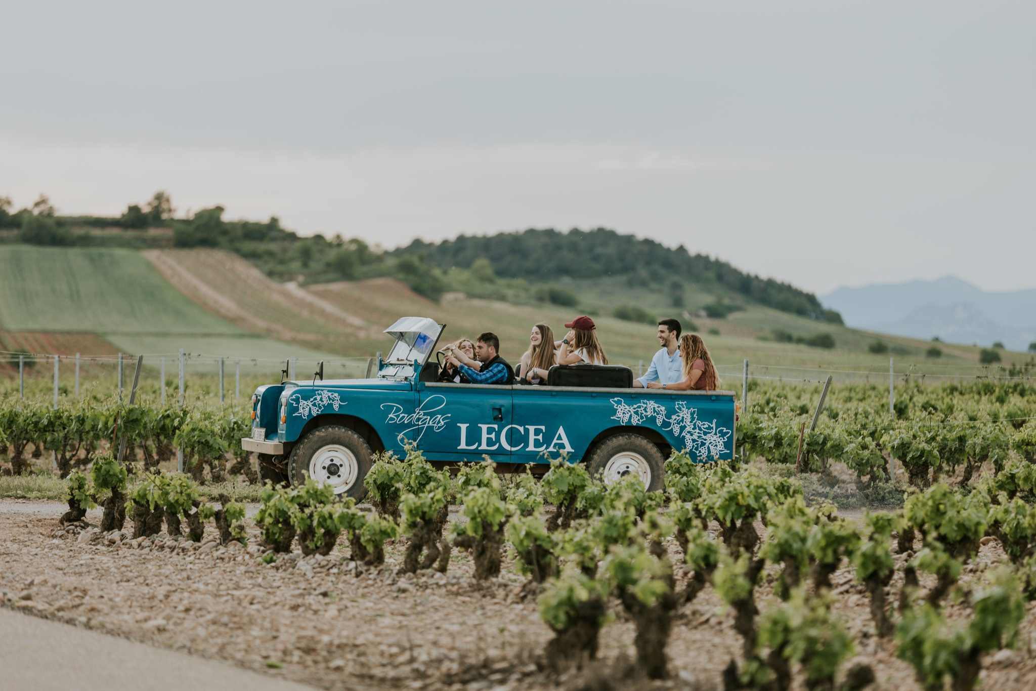Bodegas Lecea Descubre Nuestros Calados Del Siglo XVI bodegas-lecea-descubre-nuestros-calados-del-siglo-xvi